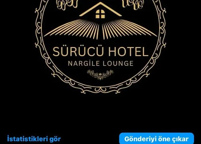 Sürücü *